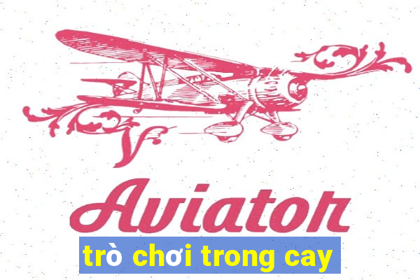 trò chơi trong cay