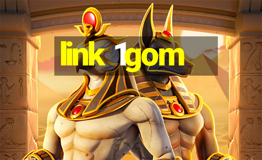 link 1gom