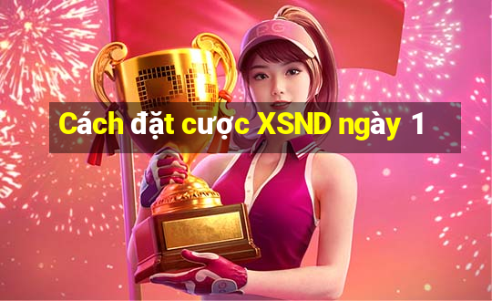 Cách đặt cược XSND ngày 1