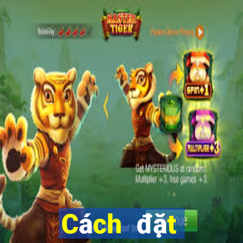 Cách đặt cược XSND ngày 1