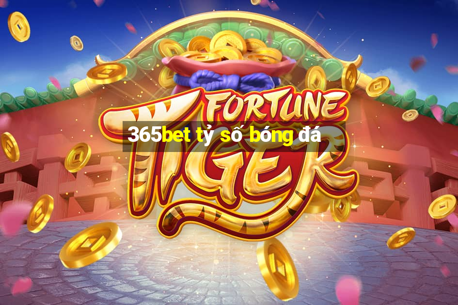 365bet tỷ số bóng đá