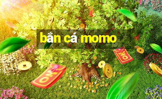 bắn cá momo