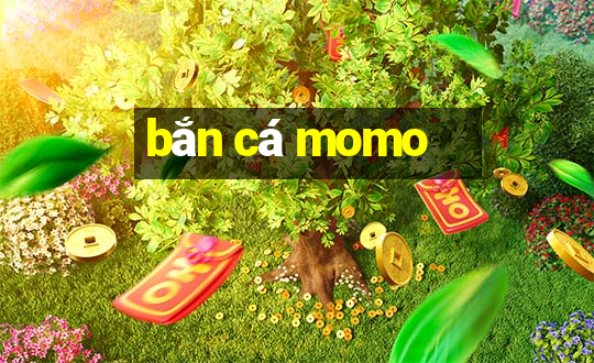 bắn cá momo