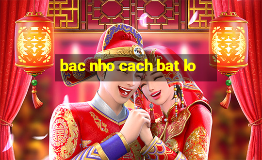 bac nho cach bat lo