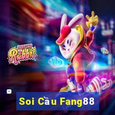 Soi Cầu Fang88