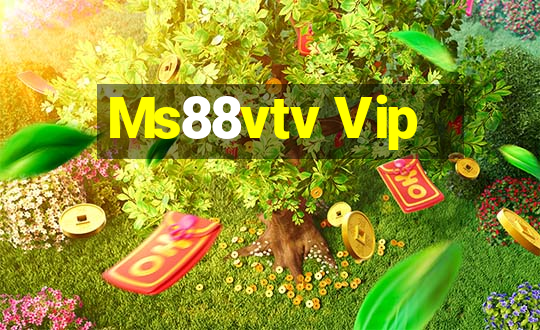 Ms88vtv Vip