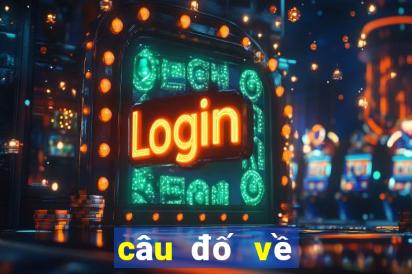 câu đố về lịch sử