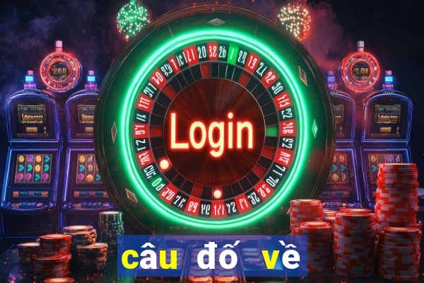 câu đố về lịch sử