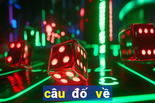 câu đố về lịch sử