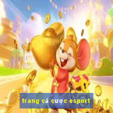 trang cá cược esport