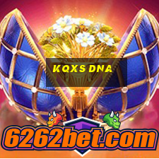 kqxs dna