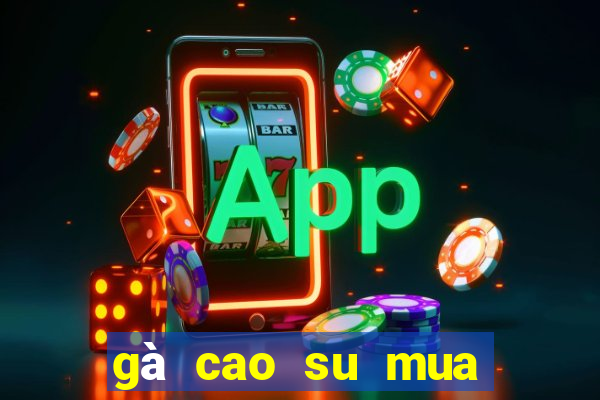 gà cao su mua ở đâu