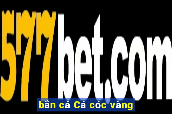 bắn cá Cá cóc vàng