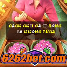 cách chơi cá độ bóng đá không thua