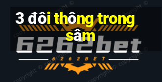 3 đôi thông trong sâm