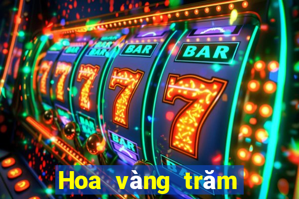 Hoa vàng trăm người ở Việt nam