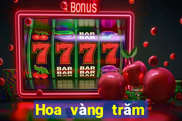 Hoa vàng trăm người ở Việt nam