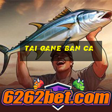 tai gane ban ca