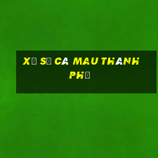 xổ số cà mau thành phố