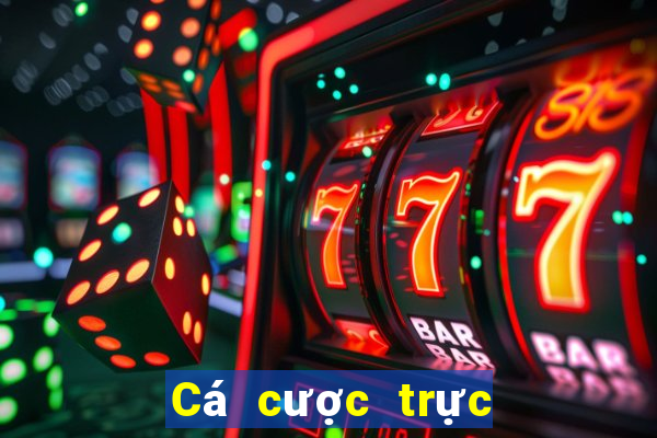 Cá cược trực tuyến paripesa