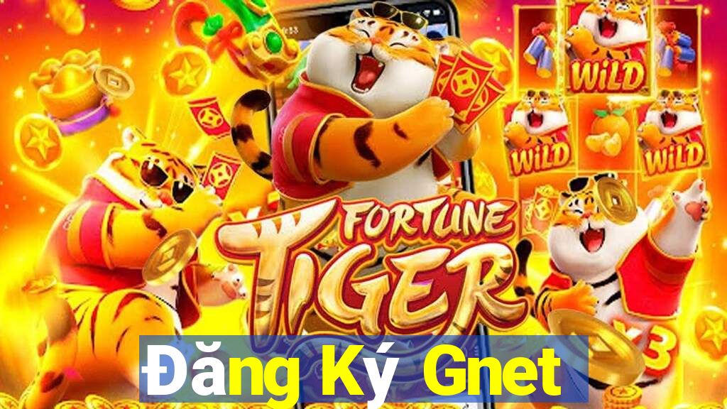 Đăng Ký Gnet