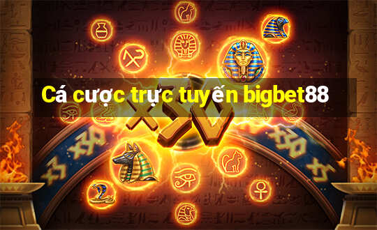 Cá cược trực tuyến bigbet88