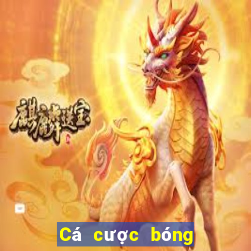 Cá cược bóng đá ngày mai