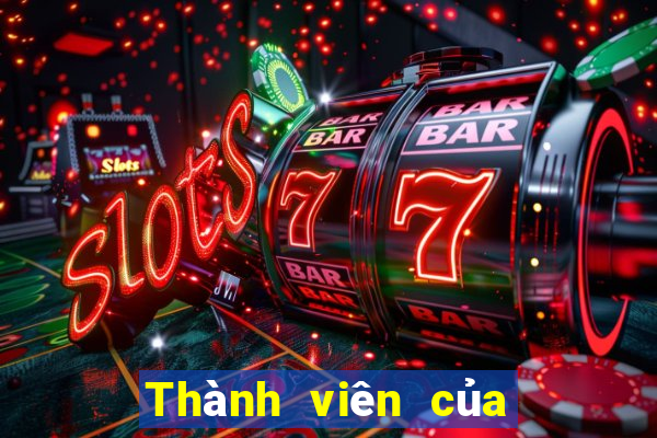 Thành viên của Yi Color