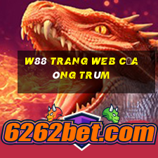 W88 Trang web của ông trùm