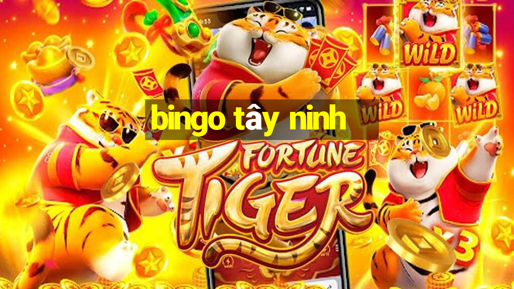 bingo tây ninh