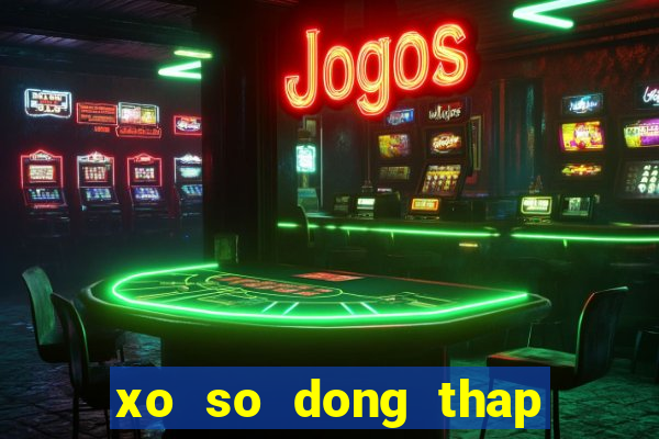 xo so dong thap 13 11