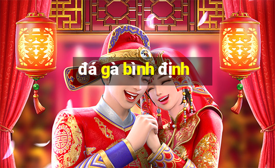 đá gà bình định