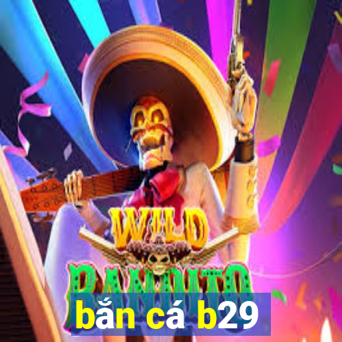 ban ca b29