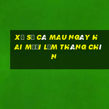 xổ số cà mau ngày hai mươi lăm tháng chín