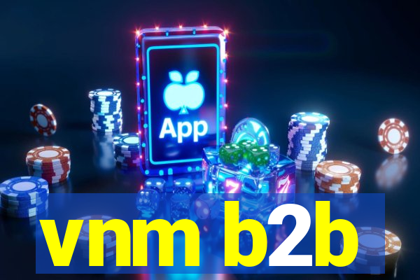 vnm b2b