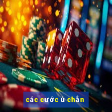 các cước ù chắn