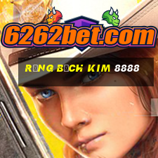 rồng bạch kim 8888