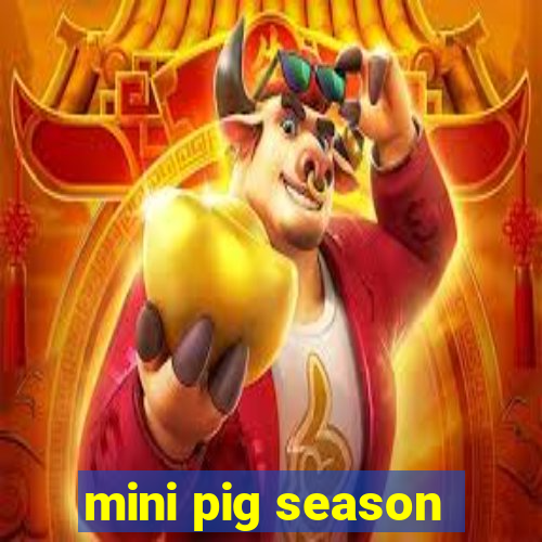 mini pig season