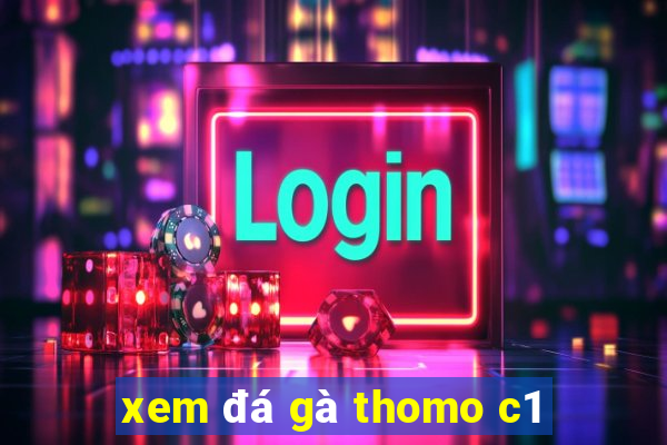 xem đá gà thomo c1