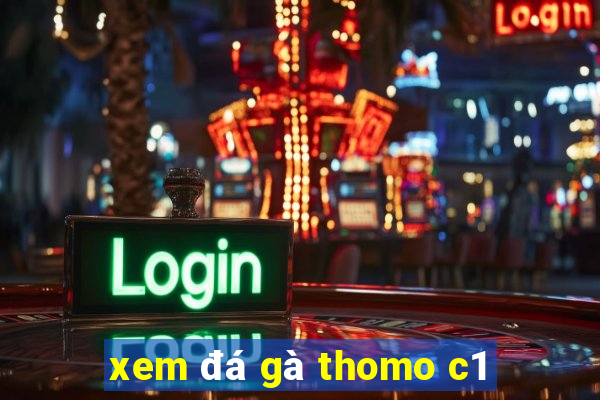 xem đá gà thomo c1