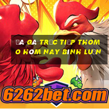 đá gà trực tiếp thomo hôm nay bình luận