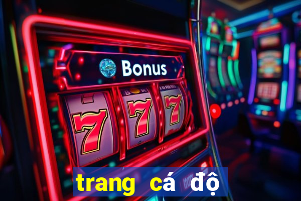 trang cá độ bóng đá online