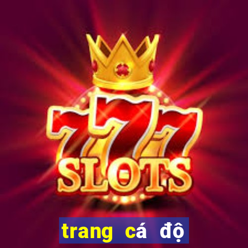 trang cá độ bóng đá online