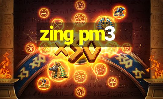 zing pm3