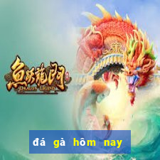 đá gà hôm nay trận 13