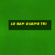 lo gan quang tri