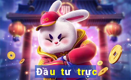 Đầu tư trực tuyến bắt buộc