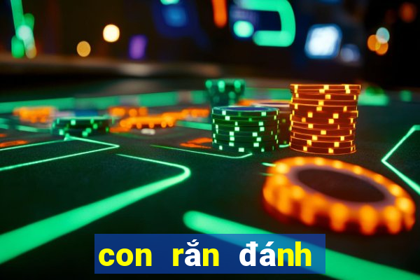 con rắn đánh số mấy