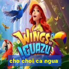 cho choi ca ngua