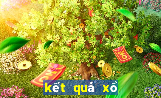 kết quả xổ số cà mau ngày